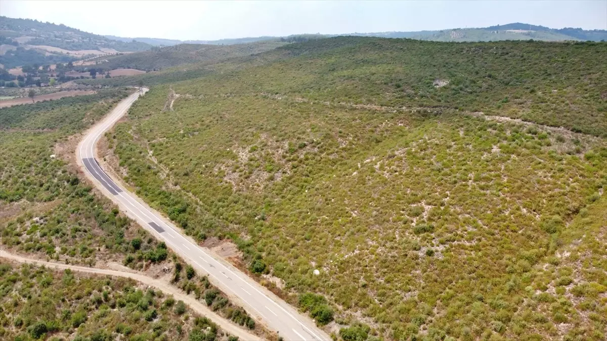 Osmaniye Ormanları Yeniden Yeşeriyor